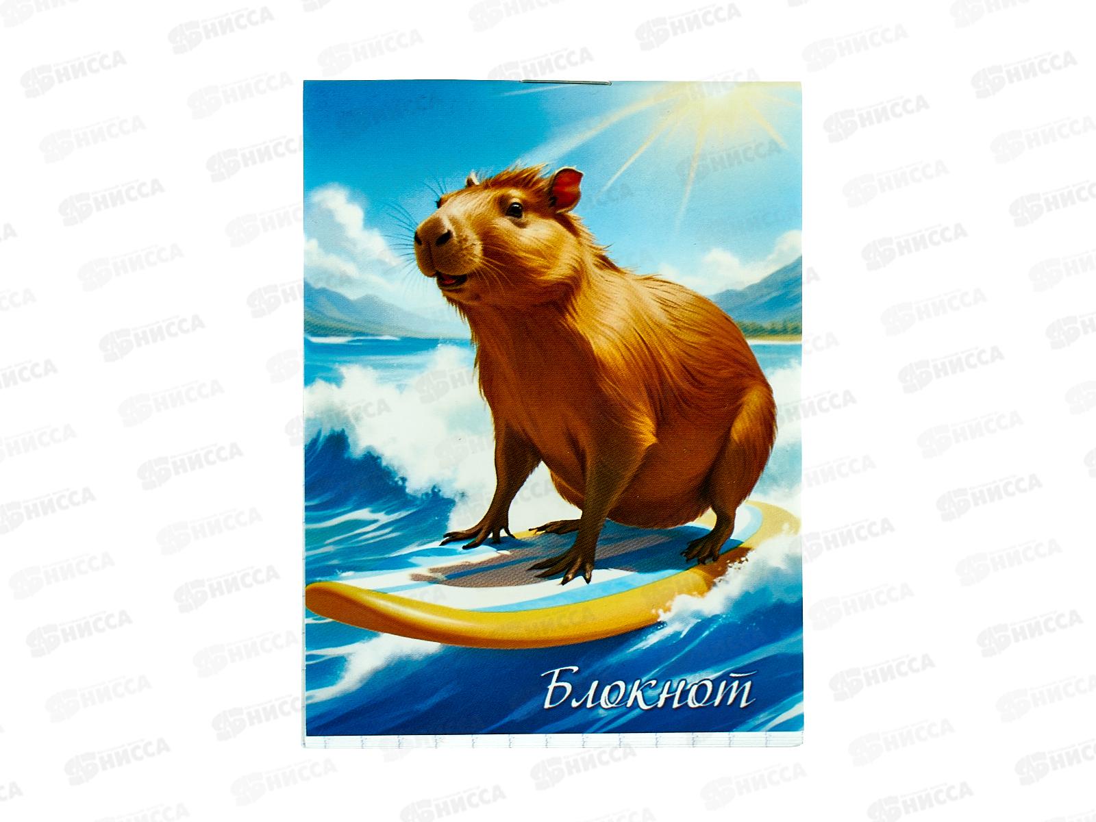 Блокнот 16л ПГС Капибара, А7 *24