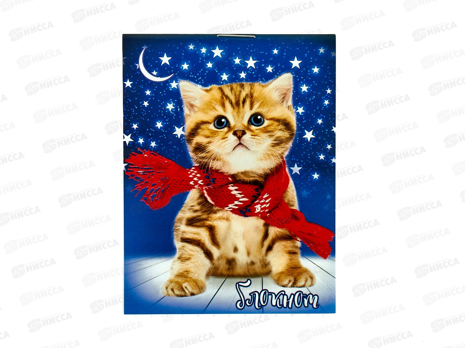 Блокнот 16л ПГС Котята, А7 *24