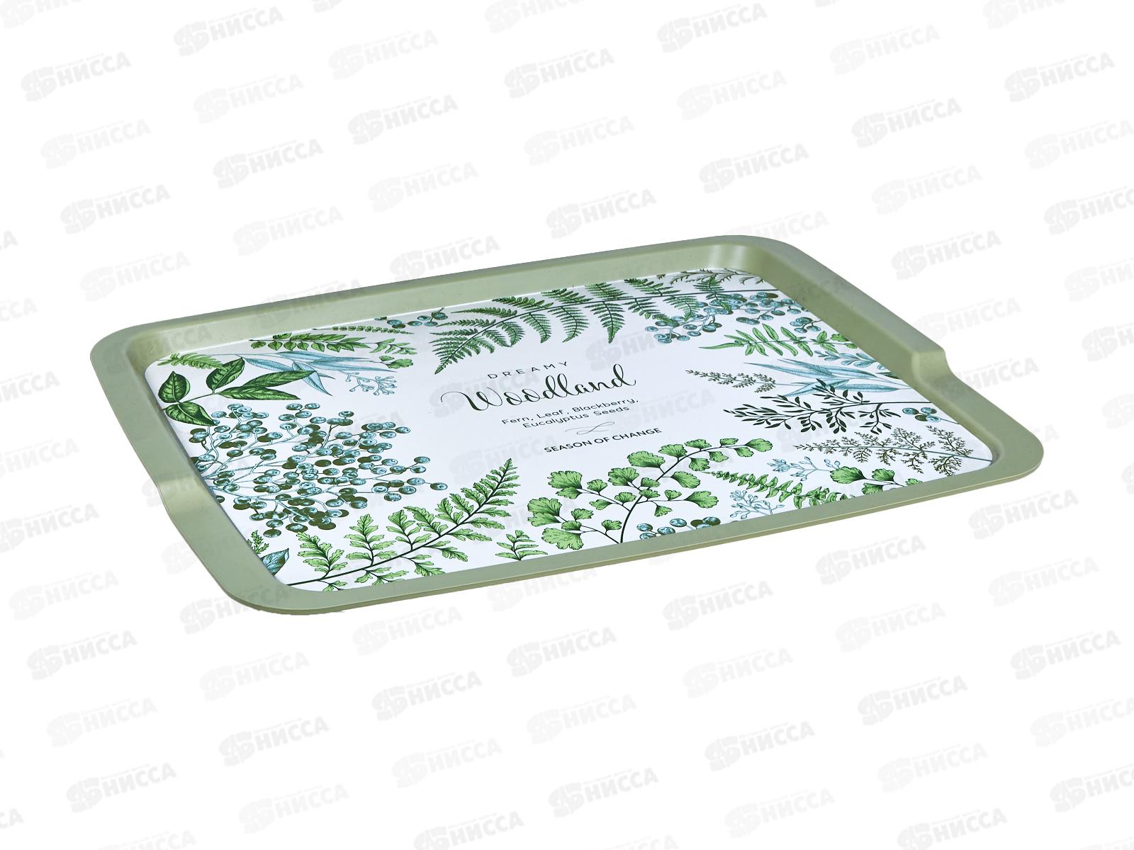 Поднос 425*320*22мм с декором Зеленый 431245209 *14  БП