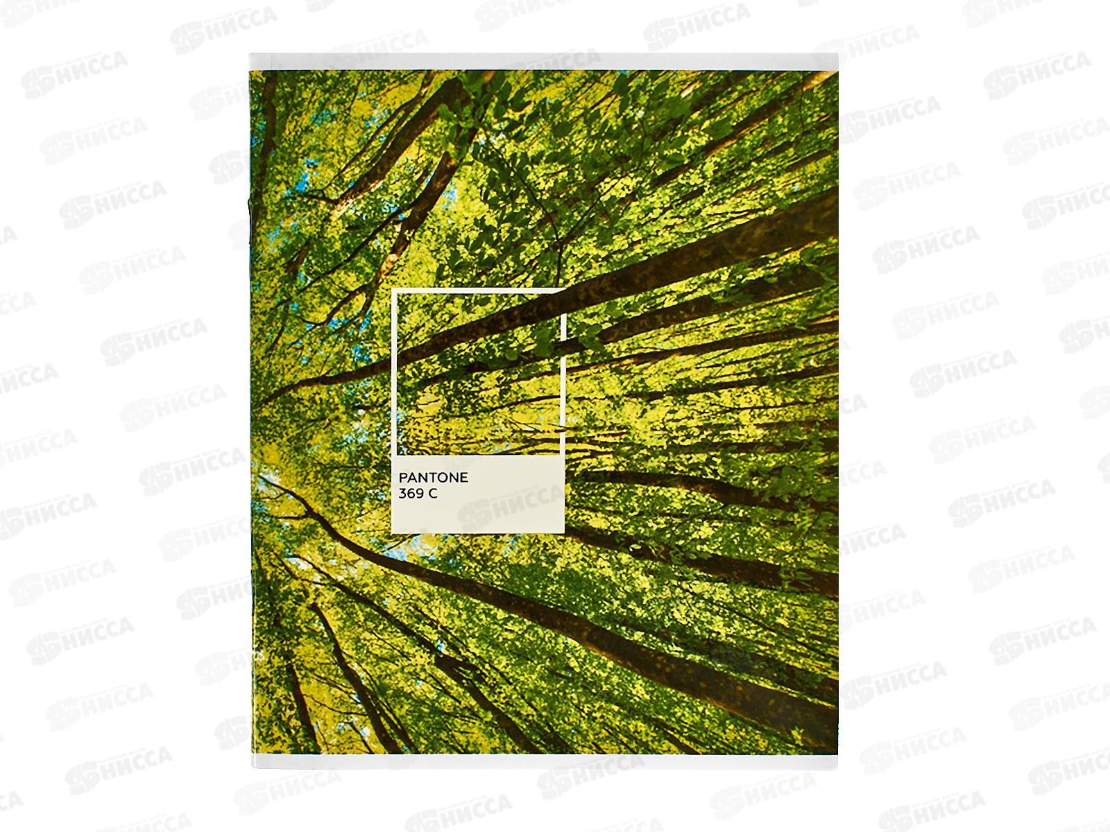 Тетрадь 48л кл. schoolФОРМАТ А5 Пантон пейзаж, мел., ТОК48-ППЖ *4/96