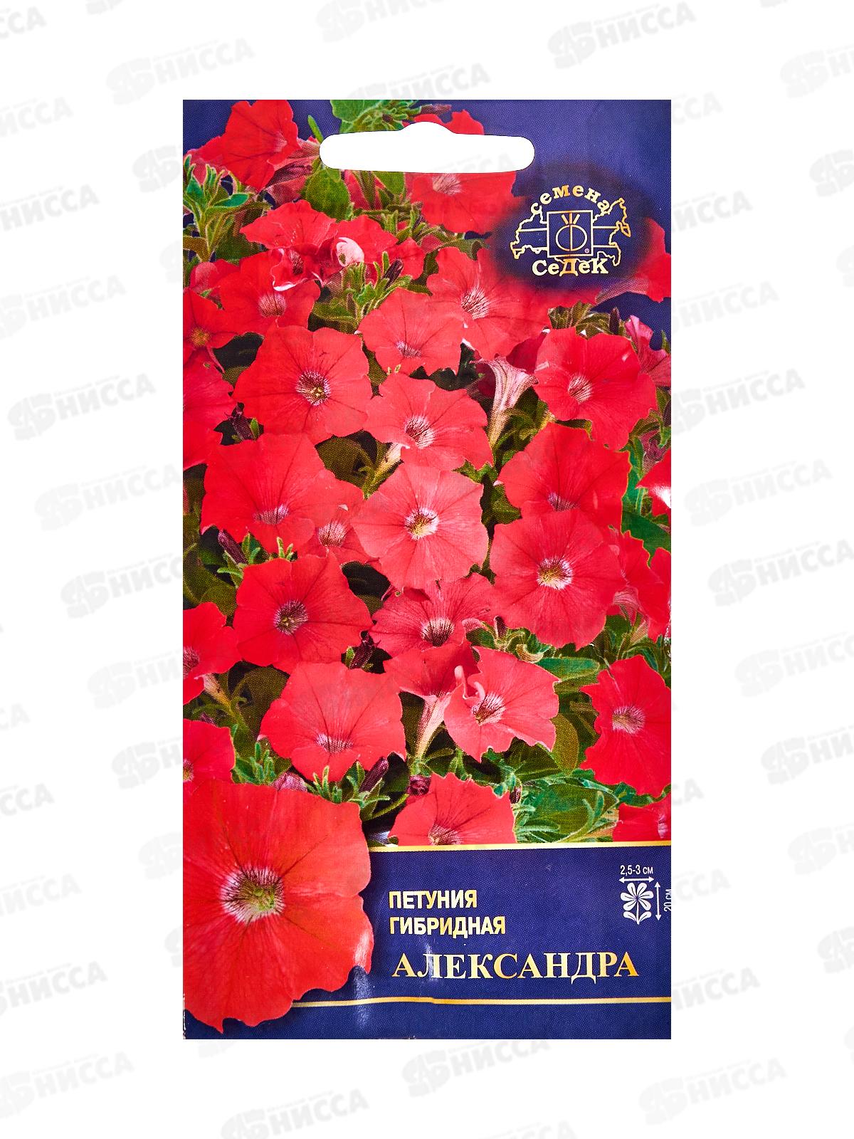 Петуния Александра F1 (ярко красная) (Евро, 5) СеДек *10 +