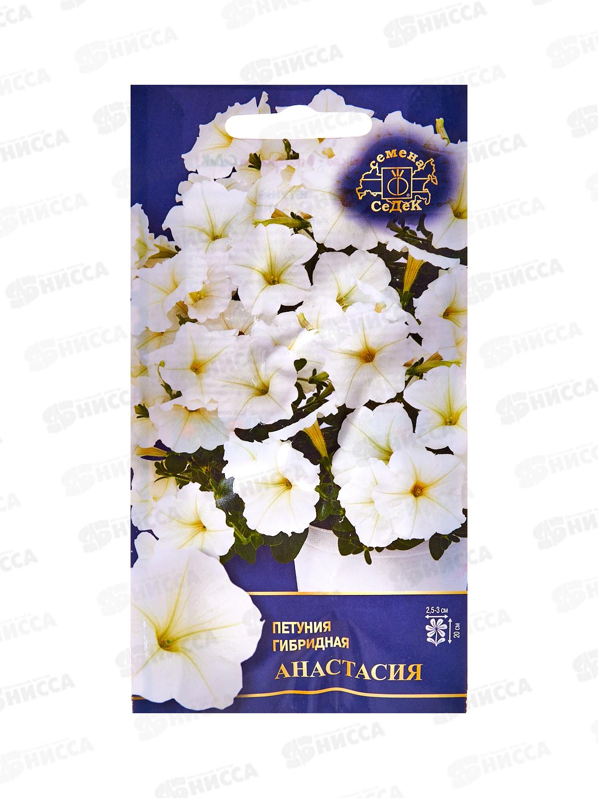 Петуния Анастасия F1 (Евро, 5) СеДек *10