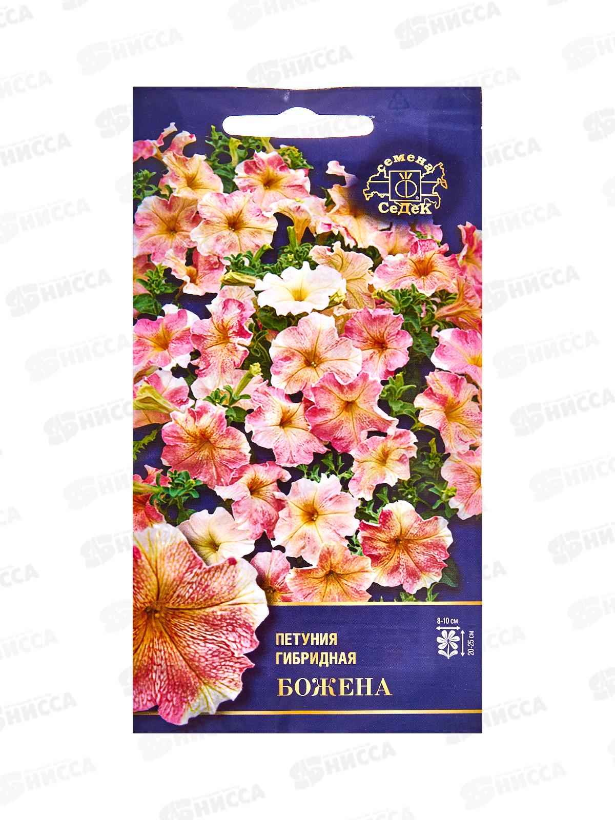 Петуния Божена F1 (Евро, 10) СеДек *10