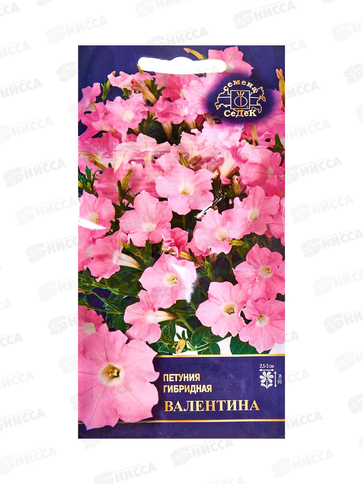 Петуния Валентина F1 (многоцв, розовая) (Евро,5) СеДек *10