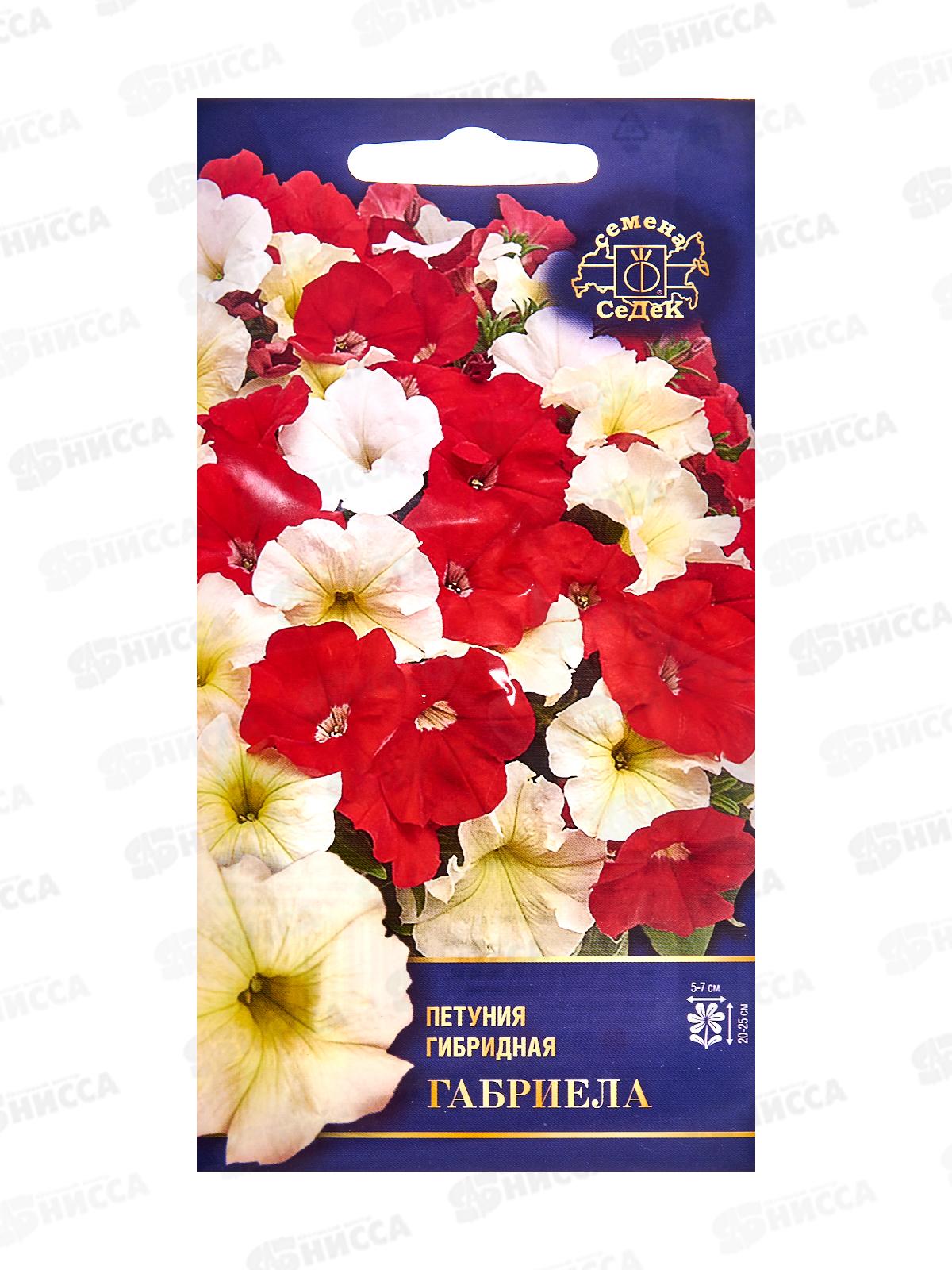 Петуния Габриела F1 (многоцв) (Евро,5) СеДек *10 +