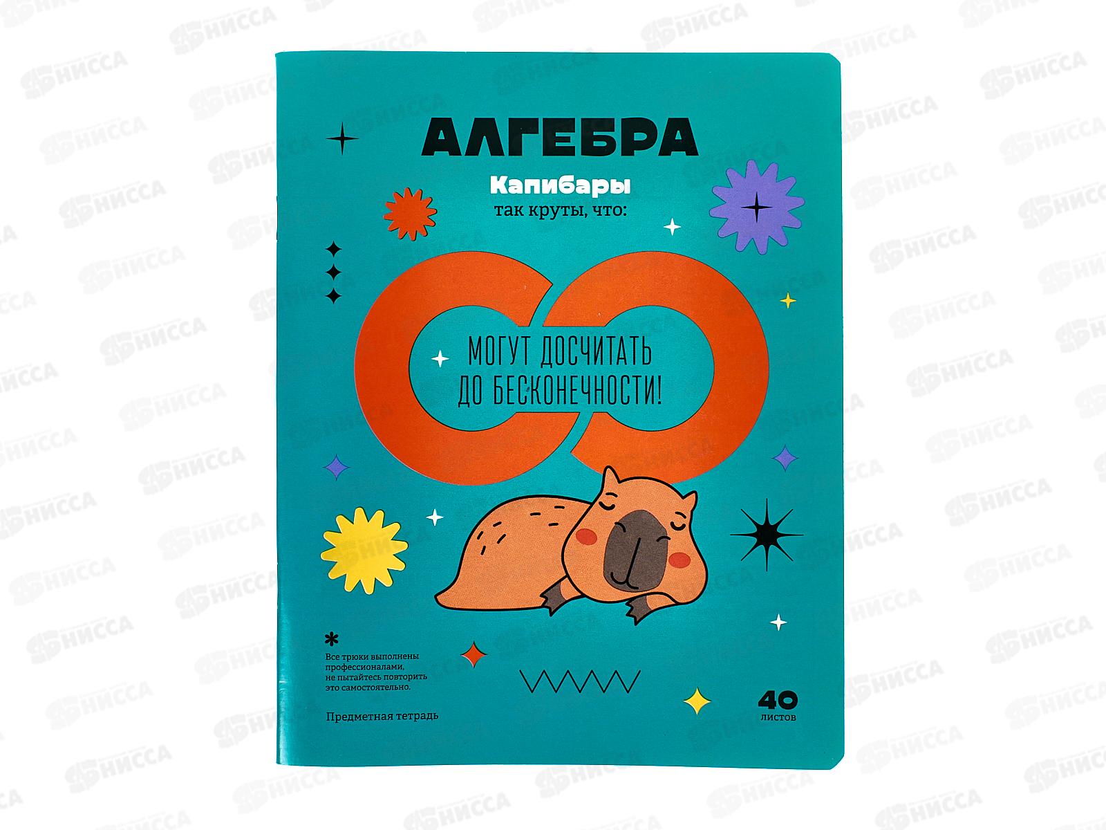 Тетрадь 40листов клетка  BG &quotЗаписки школьника-алгебра&quot, 12813*10/60