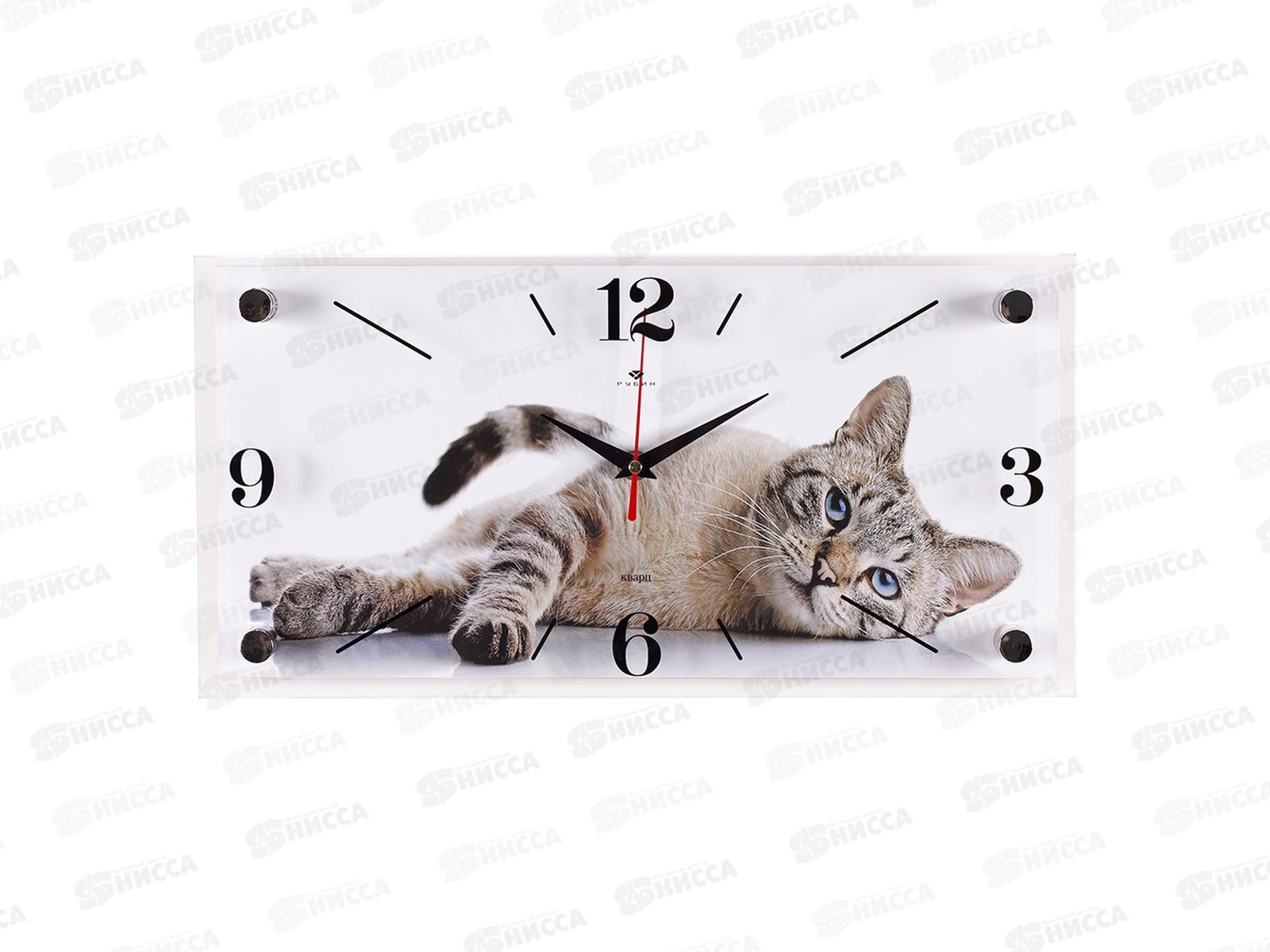 Часы настенные &quot21 Век" 1939-019 Серый кот Рубин