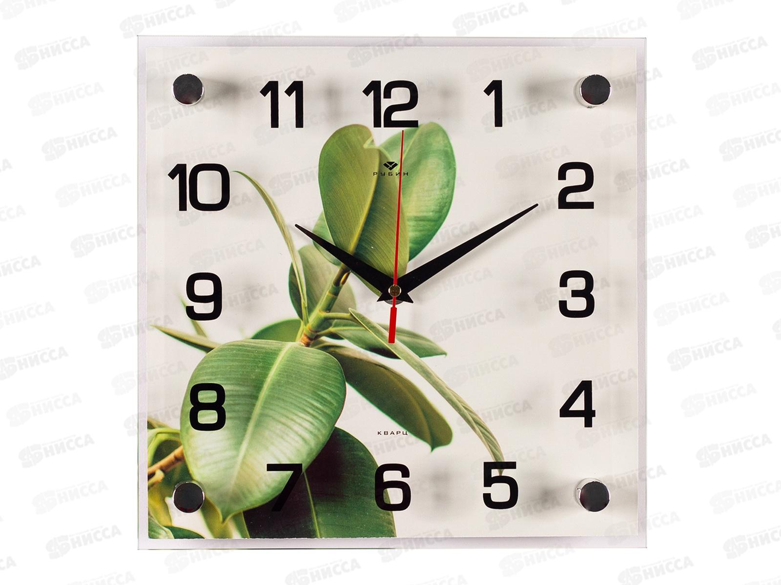 Часы настенные &quot21 Век&quot 2525-051 Фикус Рубин