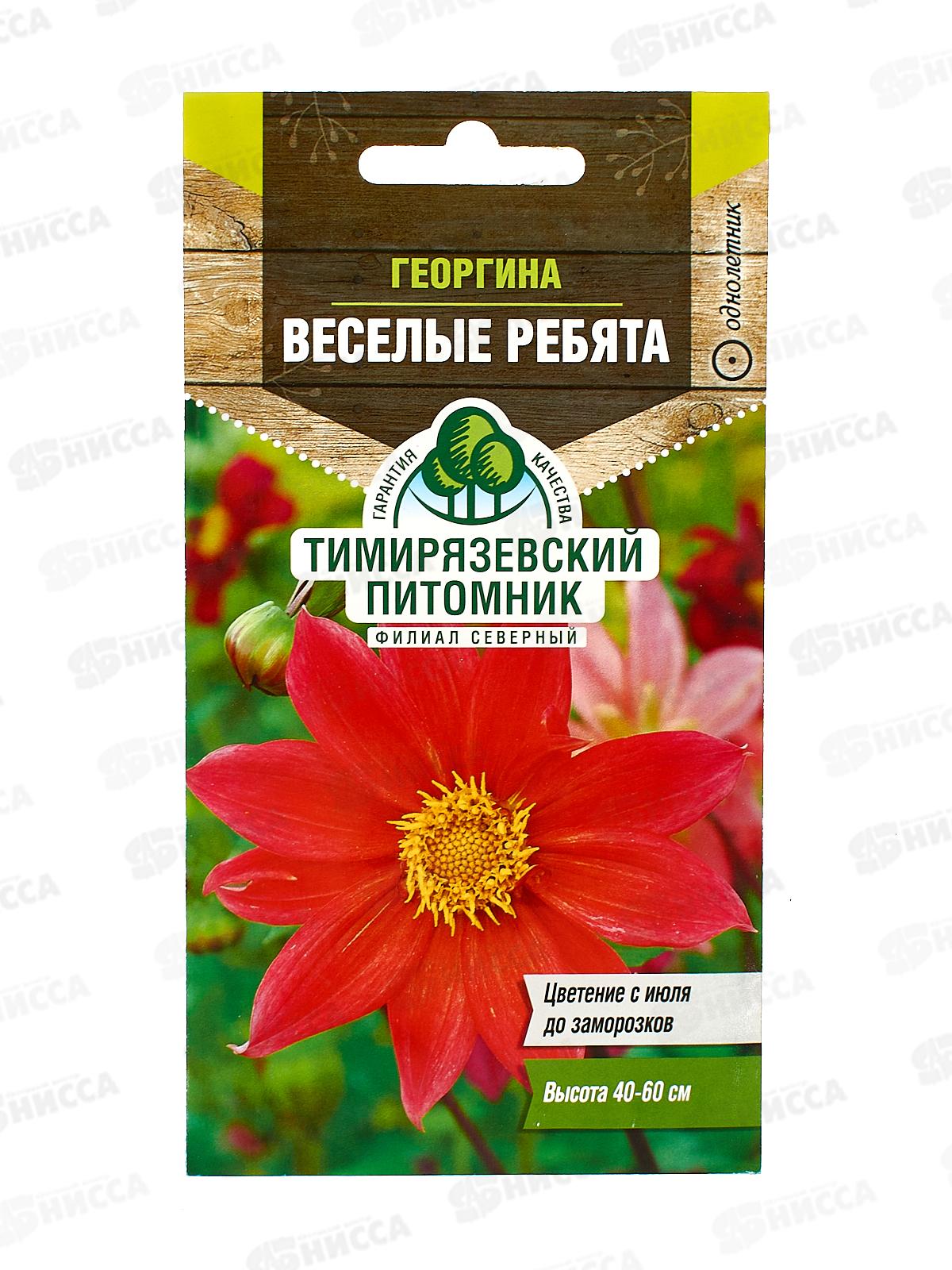 Георгина Веселые ребята 0,2г *10 Т.П.