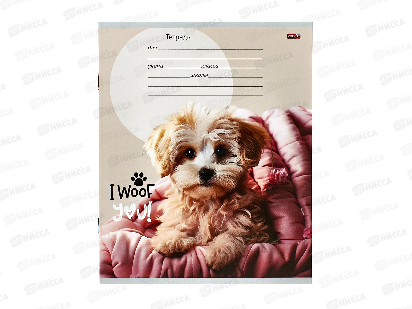 Тетрадь 12листов клетка Profit Прелестные щеночки, 5дизайнов, 12-8828 *25/250