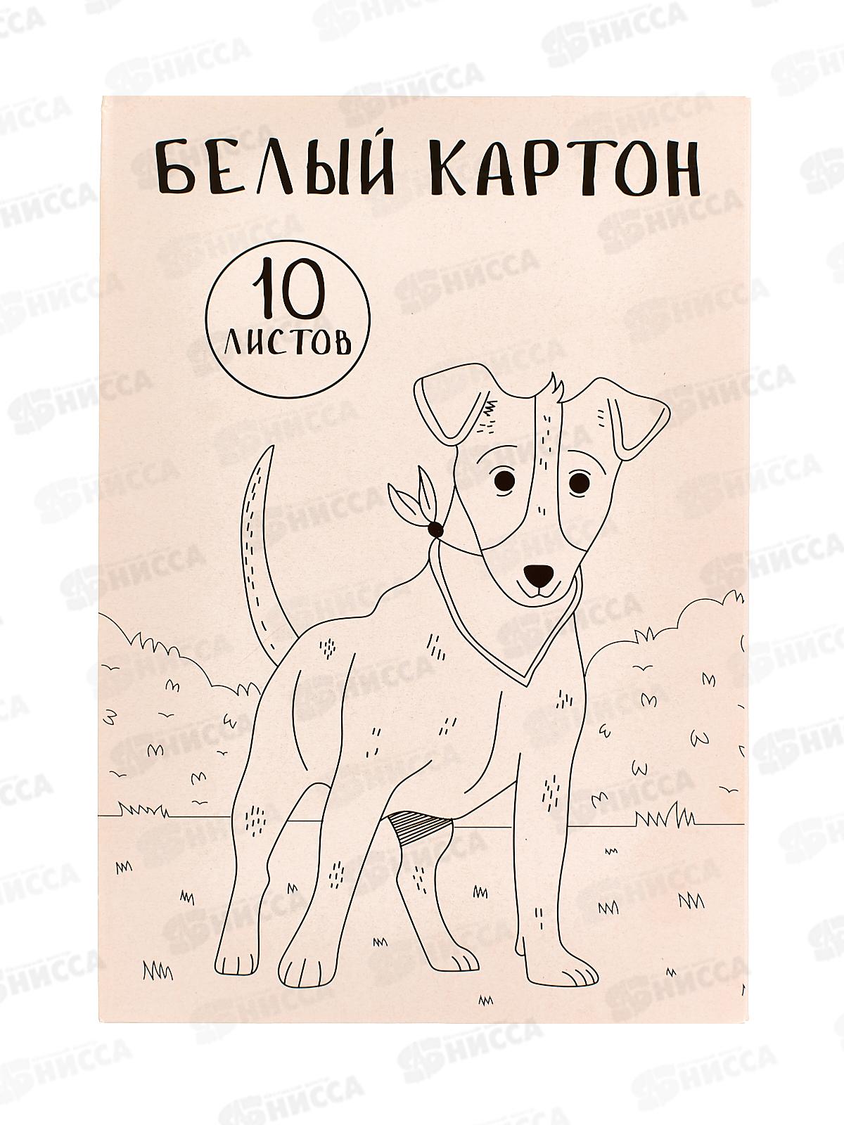 Картон Белый А4 СБ 10л Собака 2 БК10-03-01 *30