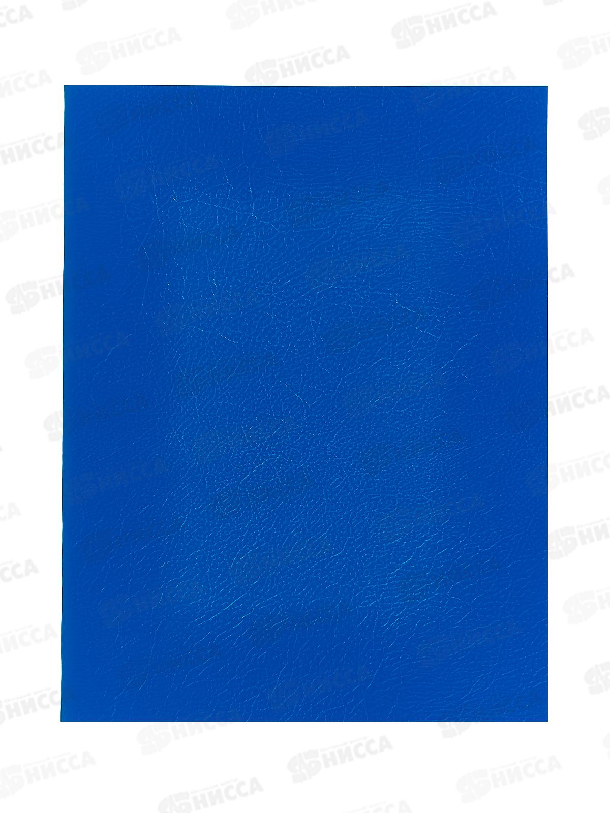 Тетрадь 48л кл. BG А4 б/в синий,12321*48