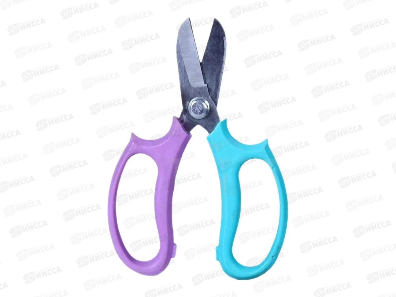 Ножницы садовые ТЕХПРОМ, N0003 *72