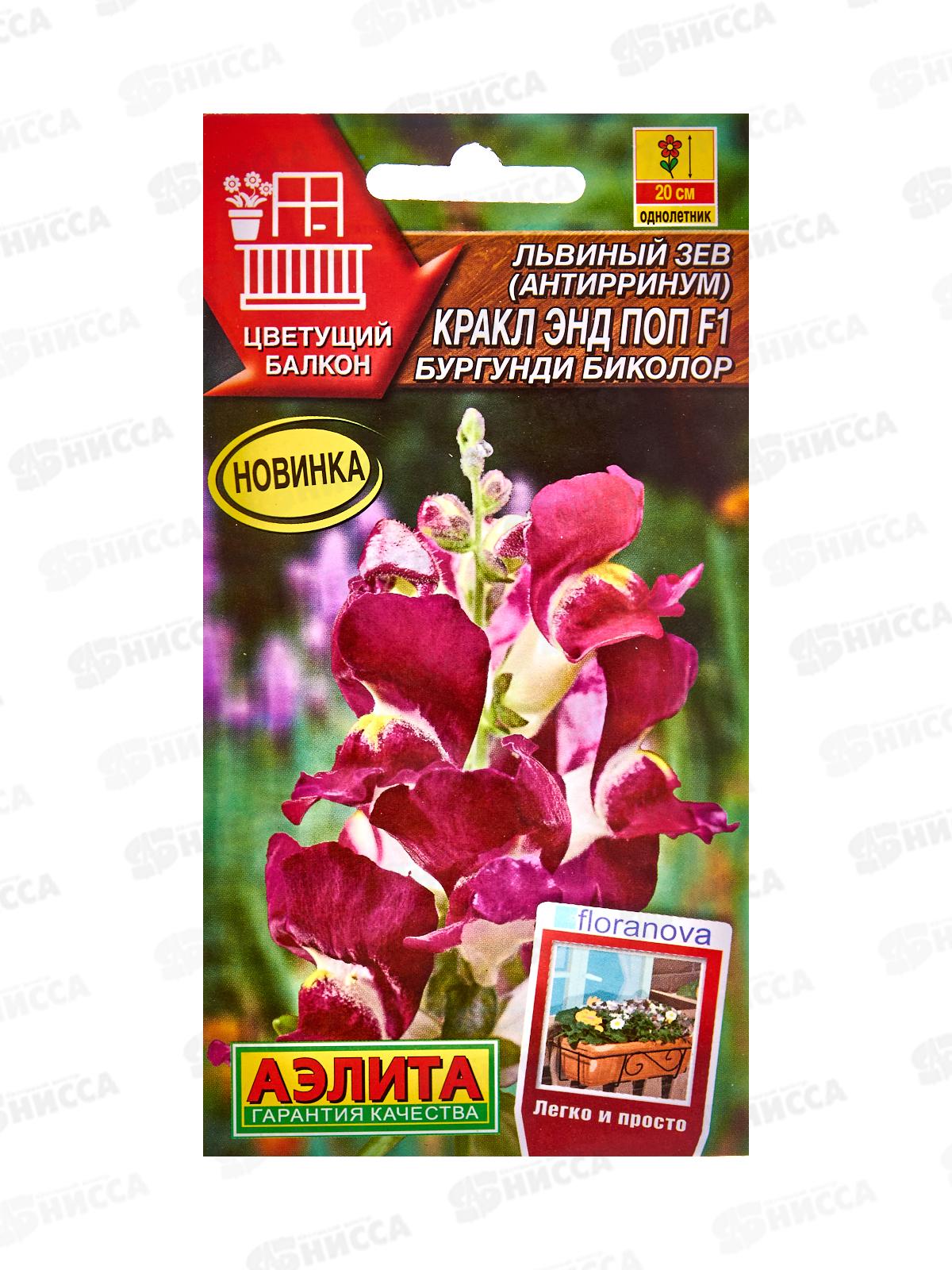 Львиный зев Кракл энд поп F1бургунди биколор *10 АЭЛИТА +