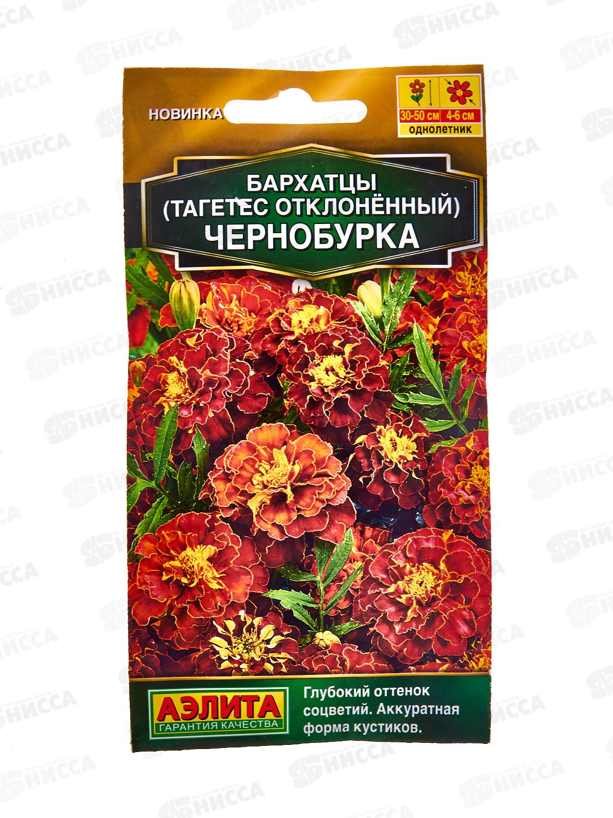 Бархатцы Чернобурка отклоненные *10 АЭЛИТА