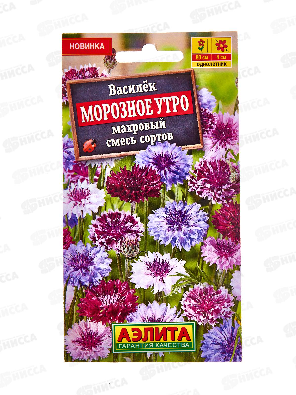 Василек Морозное утро,смесь сортов *10 АЭЛИТА