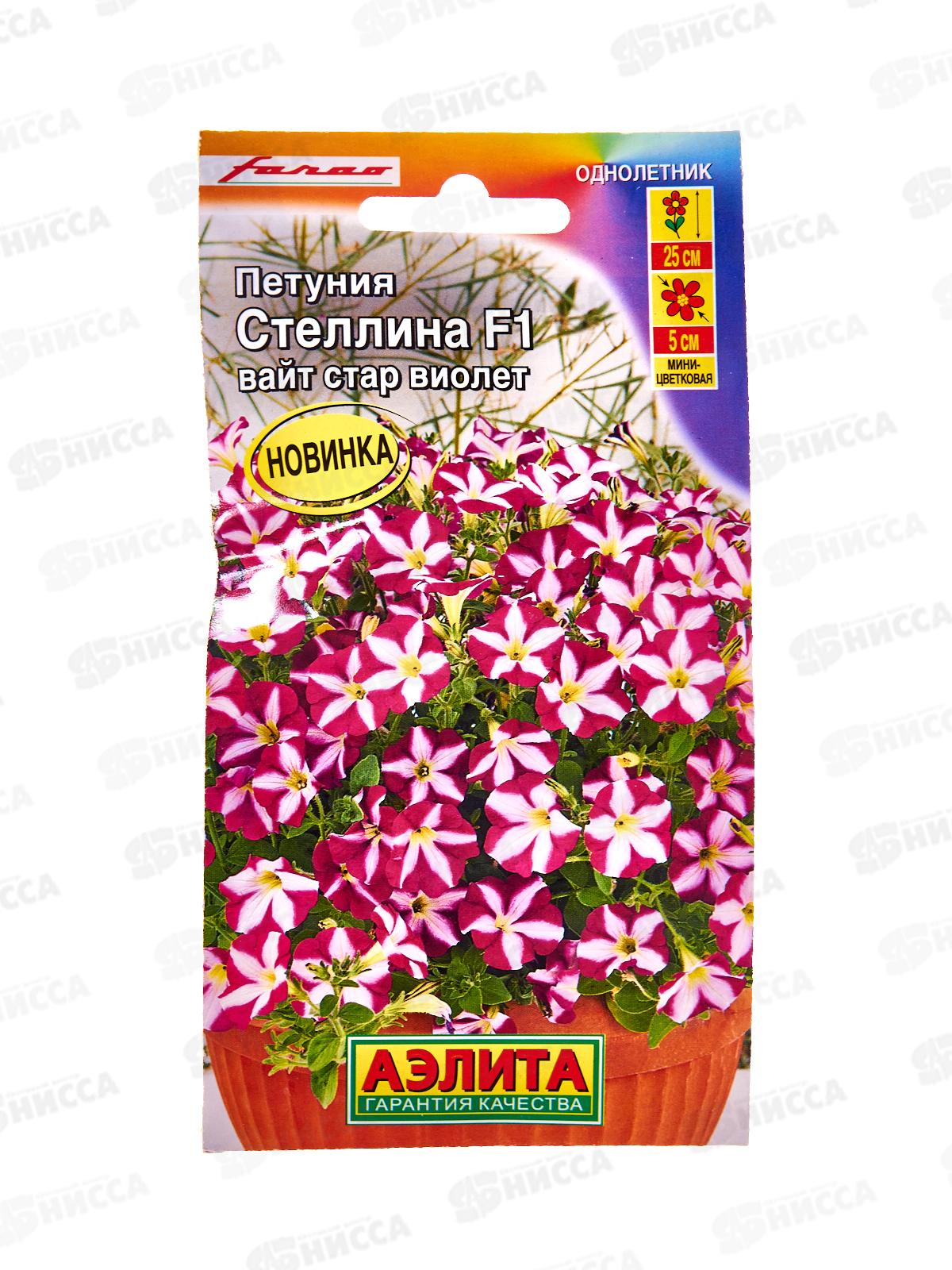 Петуния Стеллина F1 вайт стар виолет  *10 АЭЛИТА +