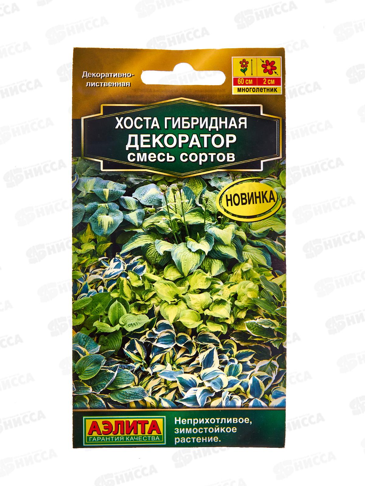 Хоста Декоратор,смесь окрасок *10 АЭЛИТА +