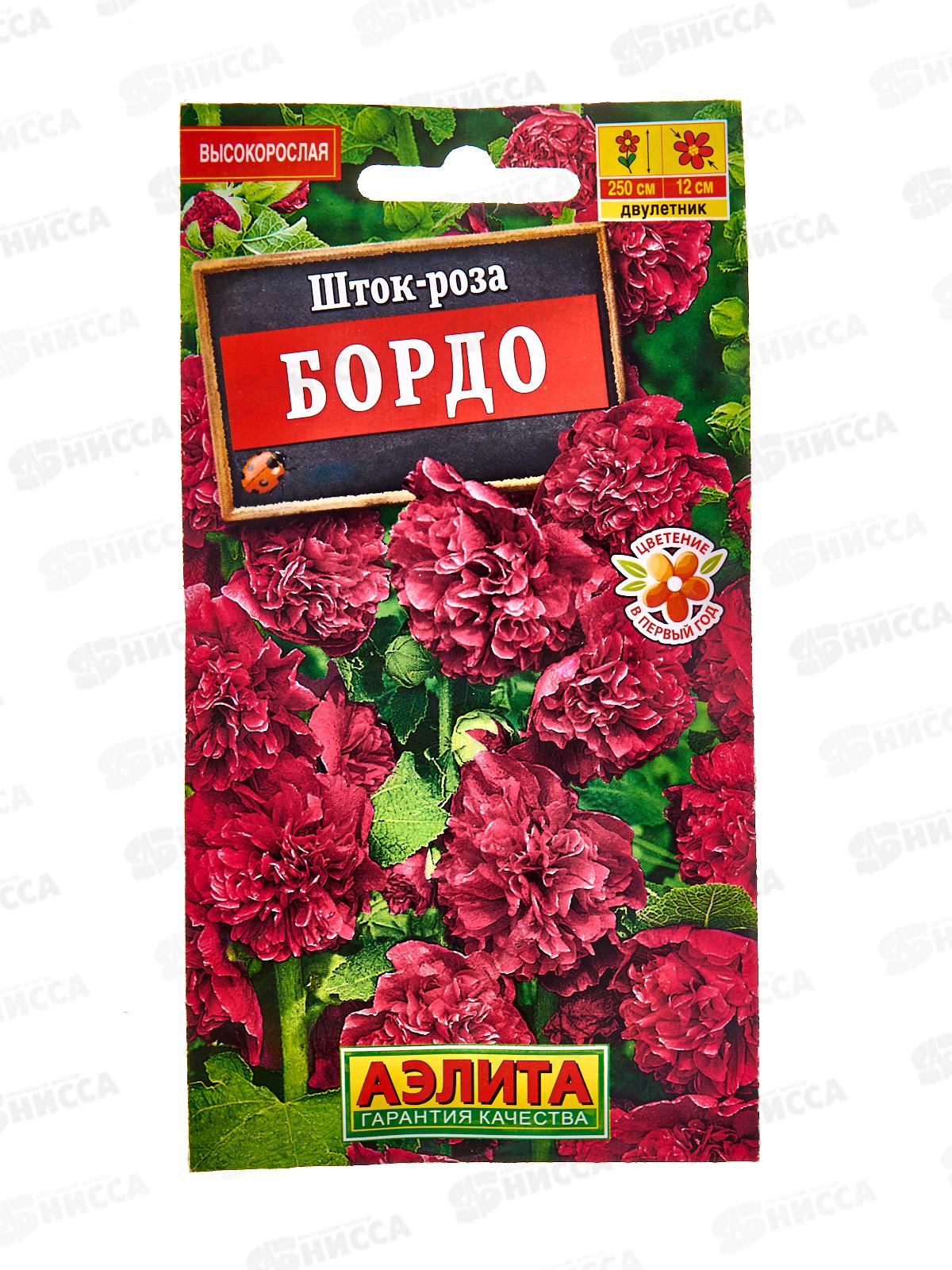 Шток роза Бордо *10 АЭЛИТА