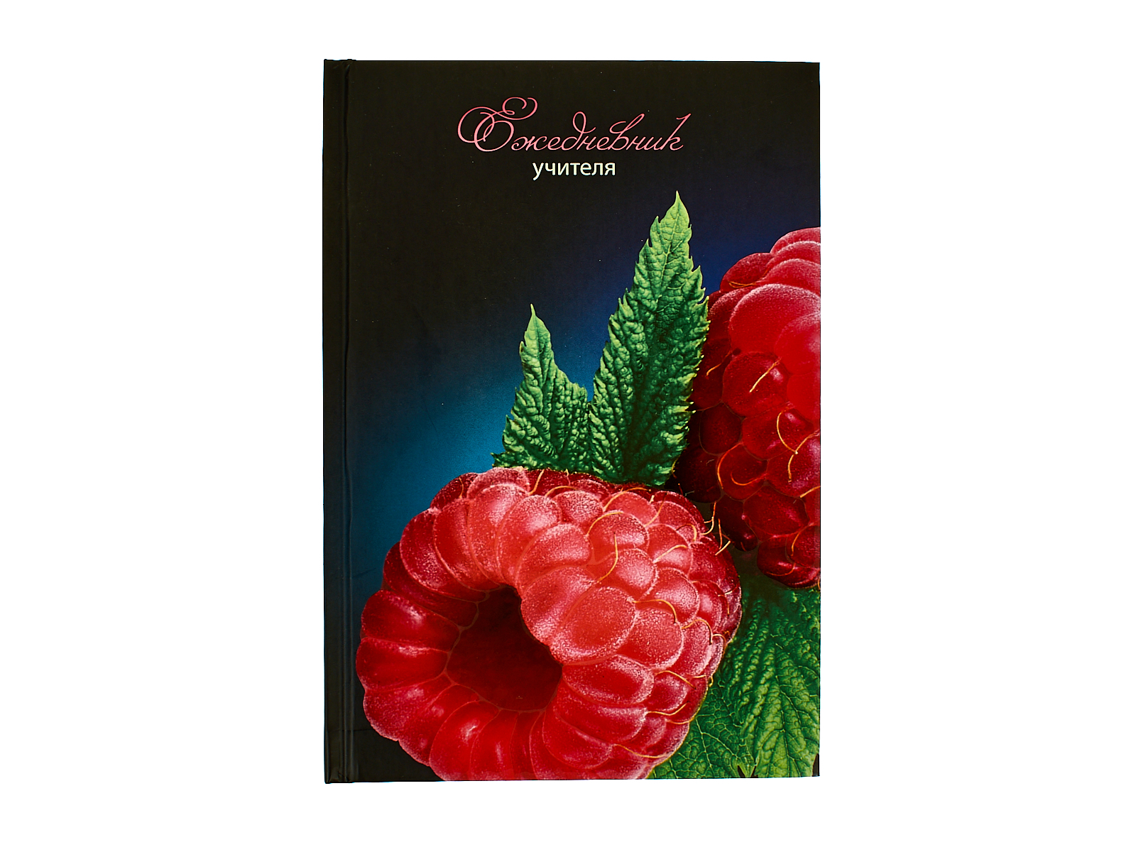 Ежедневник учителя Апплика А5,288стр ,Малинка, С0594-139