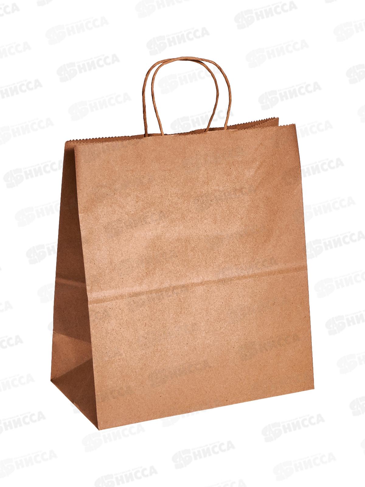 Пакет с крафт ручками 250*220*120 *1/250