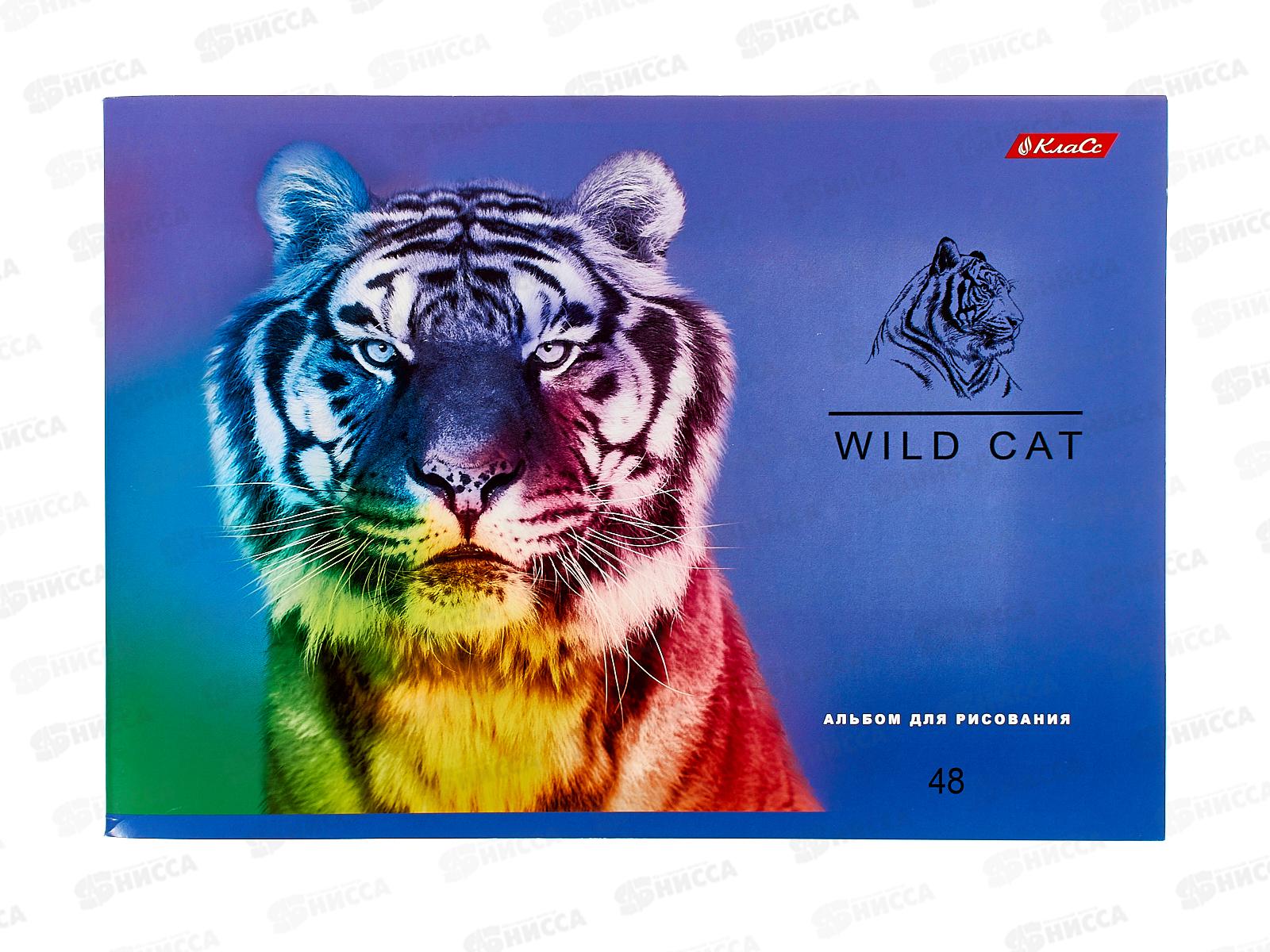 Альбом для рисования 48л SVETOCH Большие кошки, 000268  *5/25