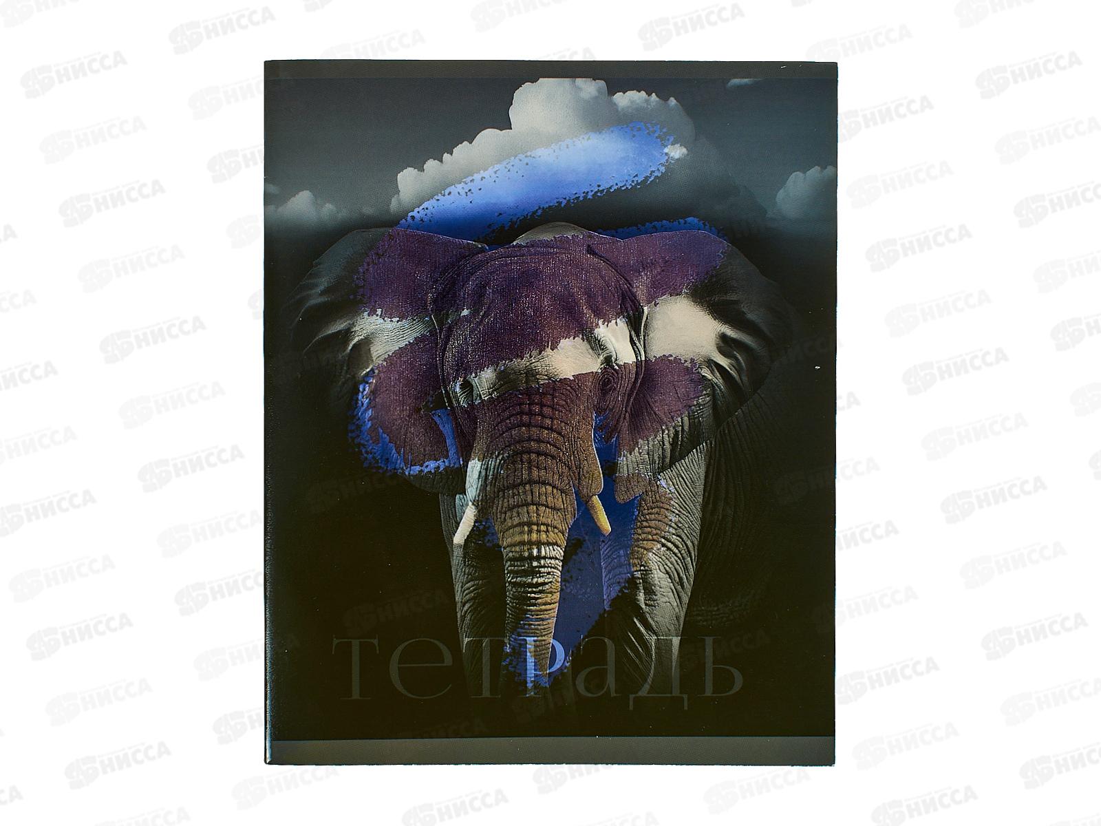 Тетрадь 48листов клетка ЭКСМ В мире диких зверей, ТКФ2Л488733 *10/100