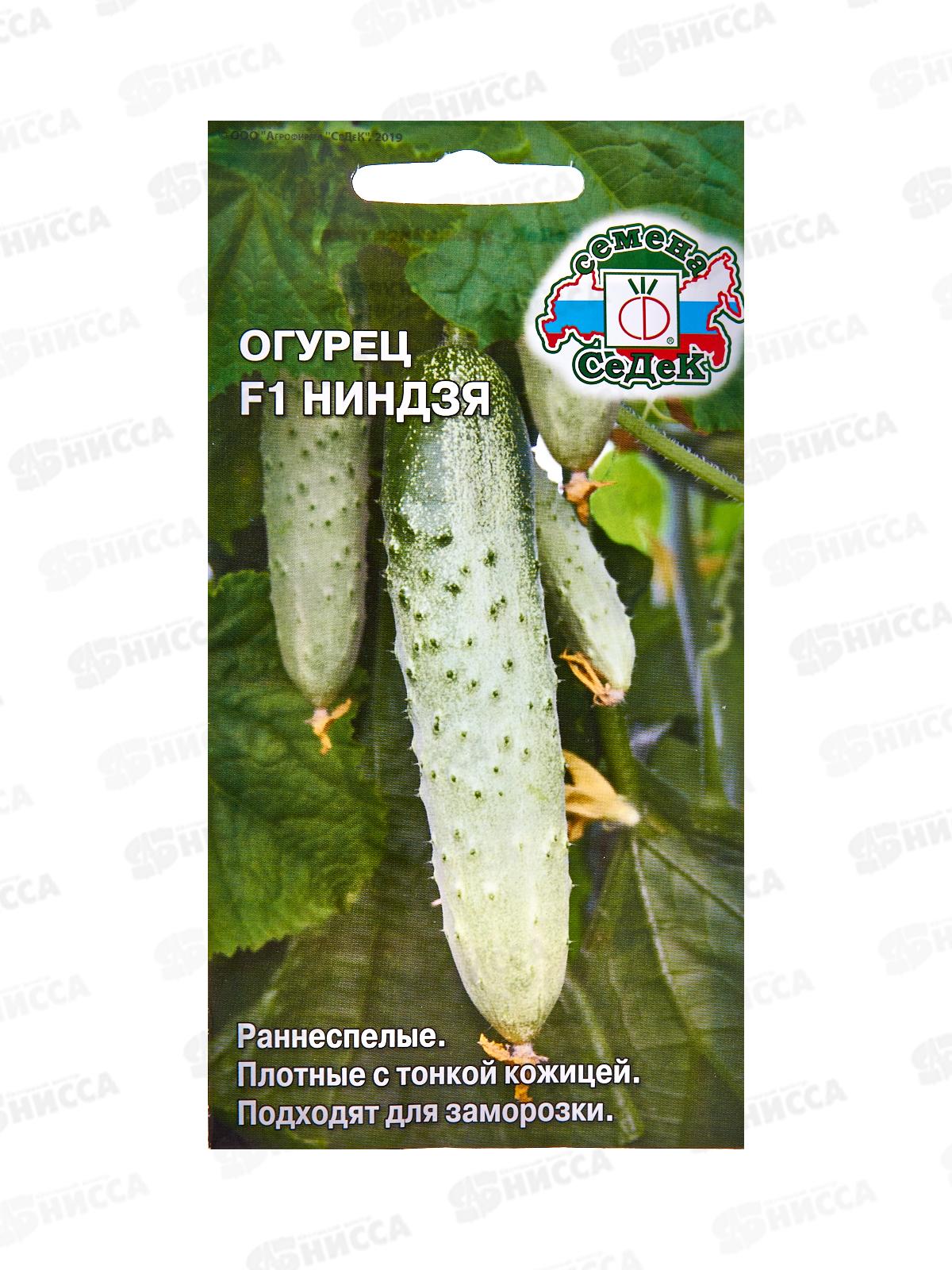 Огурец Ниндзя F1 з/г  (Евро, 0,2) СеДек *10