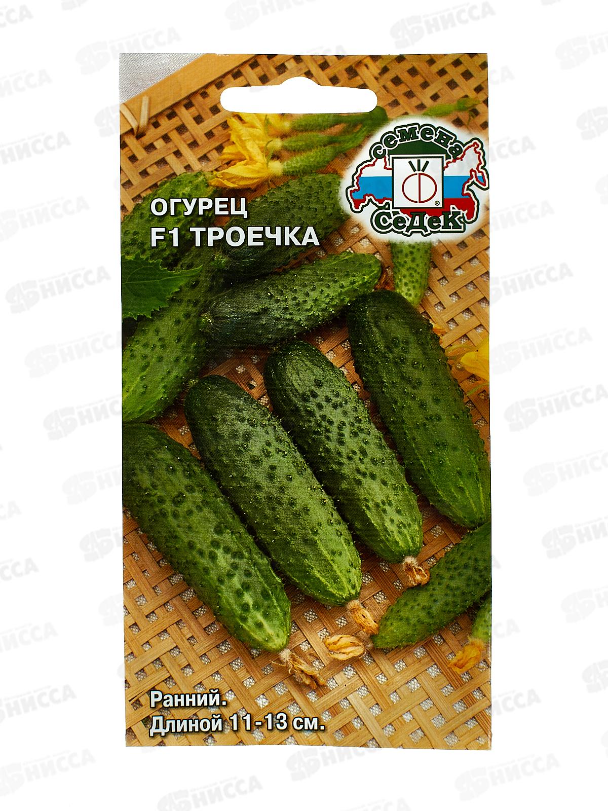 Огурец Троечка F1  (Евро, 0,2) СеДек *10