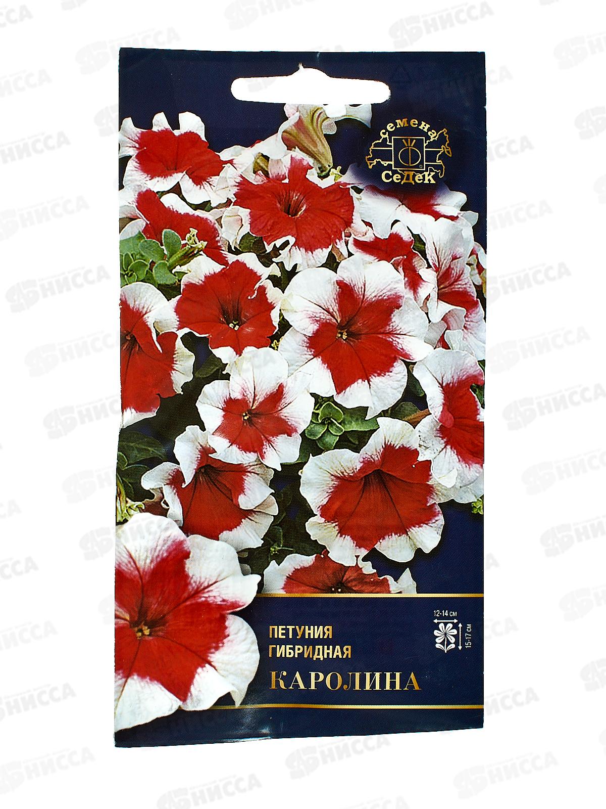 Петуния Каролина F1 (крупноцветковая) (Евро,10) СеДек *10 +