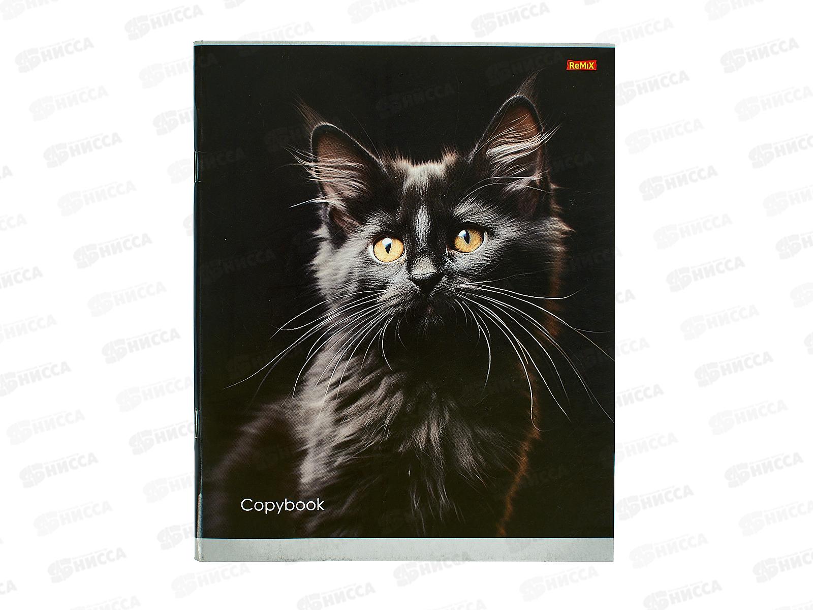 Тетрадь 36л клетка Remix Портретное фото кота, второй блок, 36-5766 *120