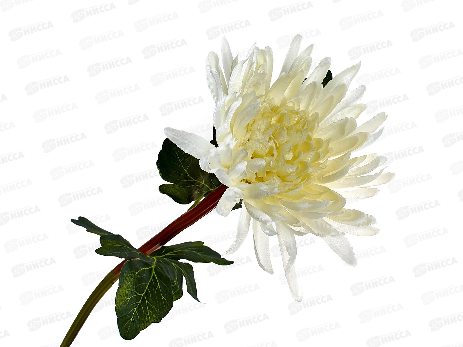 Цветы искусственные 63см Астра пионовидная белая 4642688