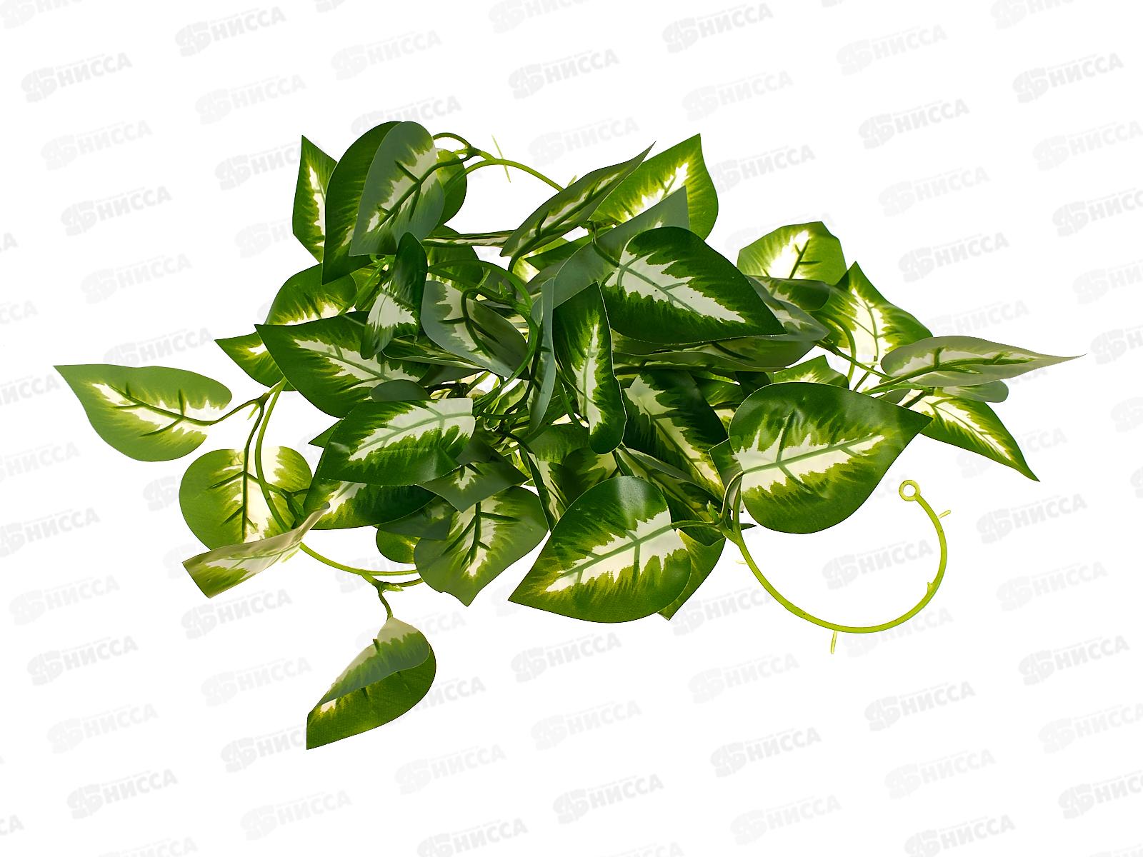 Лиана 2,2м Антуриум Андрэ 5390633