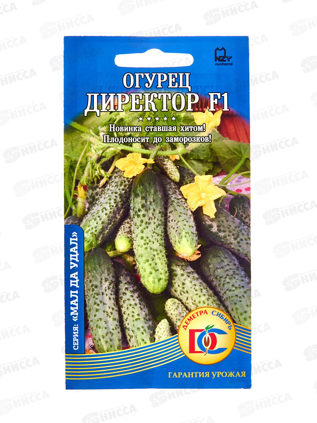 Огурец Директор F1 ДемСиб *10