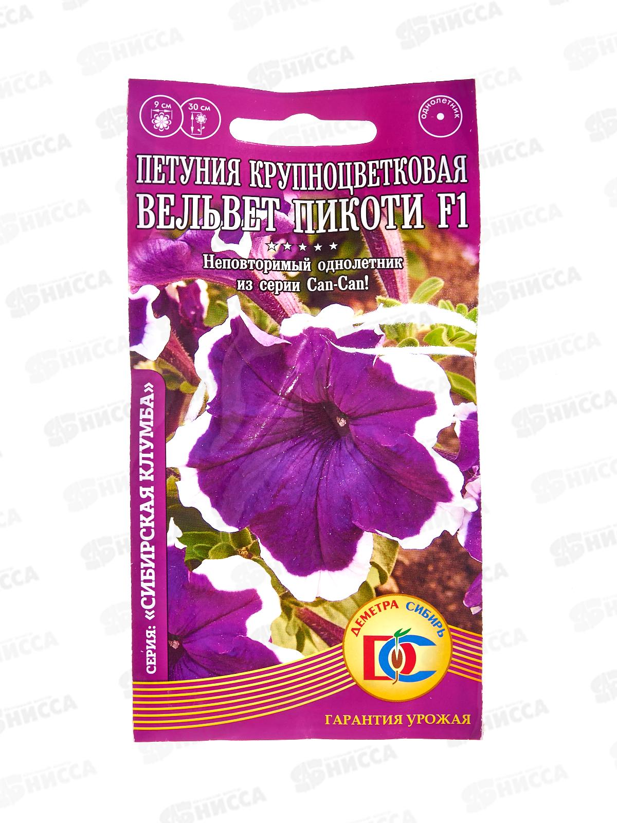 Петуния Вельвет Пикоти F1 круаноцветк. ДемСиб *10