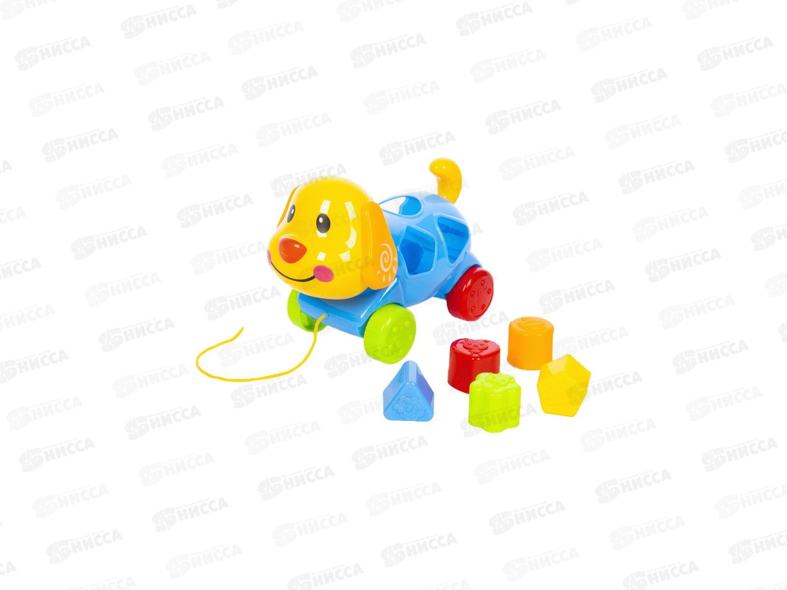 Каталка-сортер "Щенок" на веревочке, 2 вида, 1002045