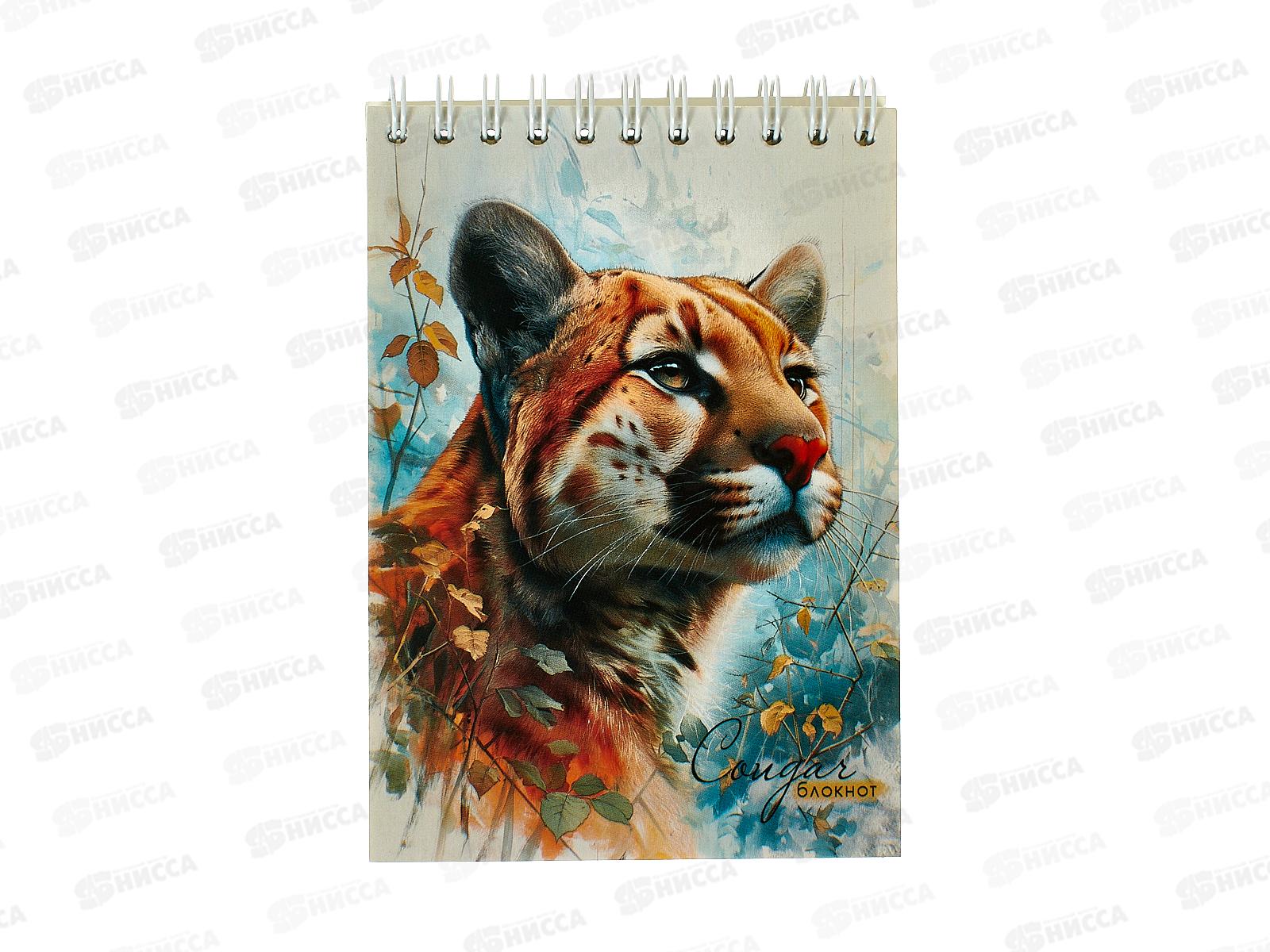 Блокнот 80л А6 Апплика, на греб., Пума, С4173-105 *80