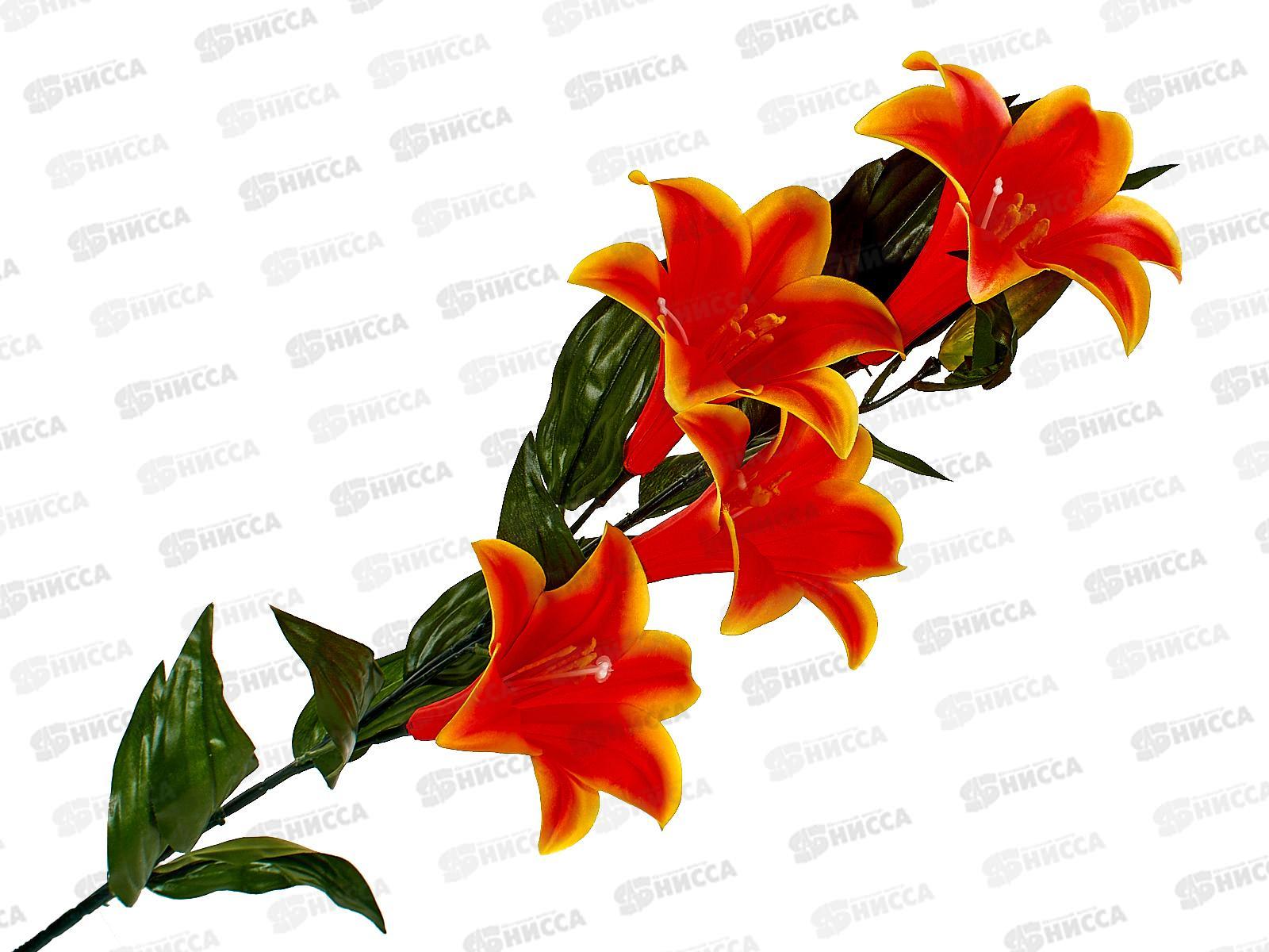 Букет 100см 4гол №25 79896  *1/300 Б