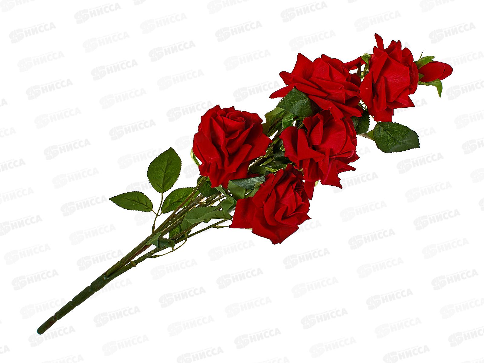 Букет 65см 8гол №78 79936 *10  Б