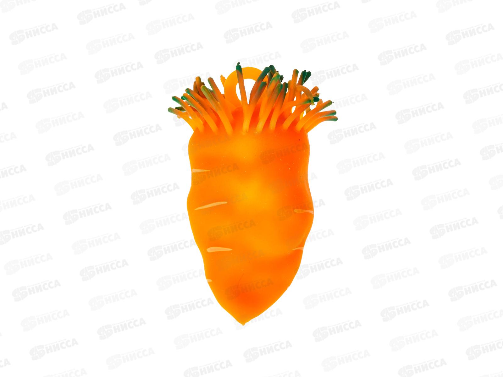 Антистресс-мялка "Морковка" 1002456 в коробке