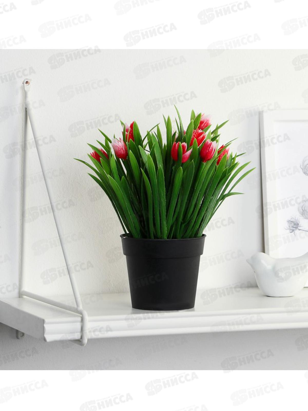 Бонсай &quotТюльпаны и зелень&quot 9*18см микс 9750512