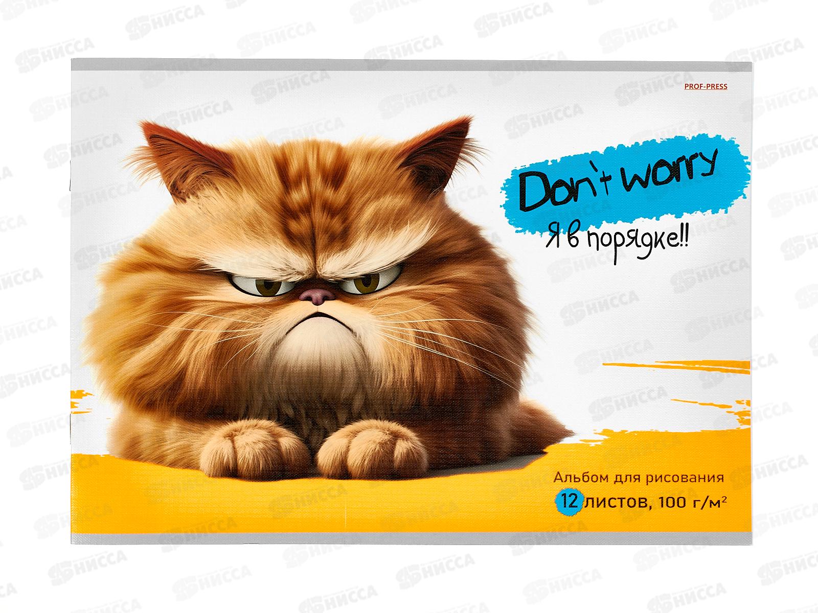 Альбом для рисования 12л ПП Сердитый кот, 12-0239
