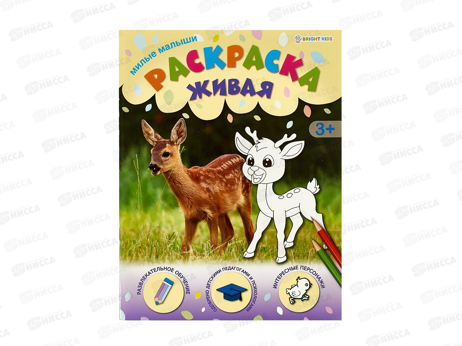 Раскраска ПП А4  8л Милые малыши, Р-0100 *50