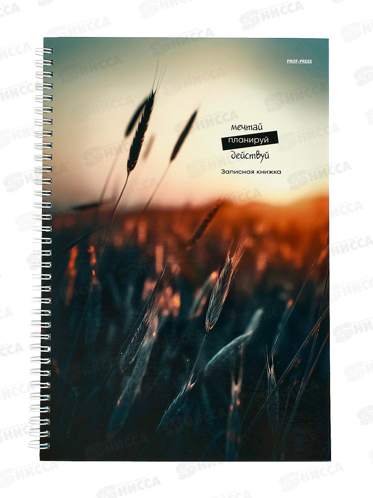 Записная книга ПП А4 120л Колоски, гребень, 120-1710