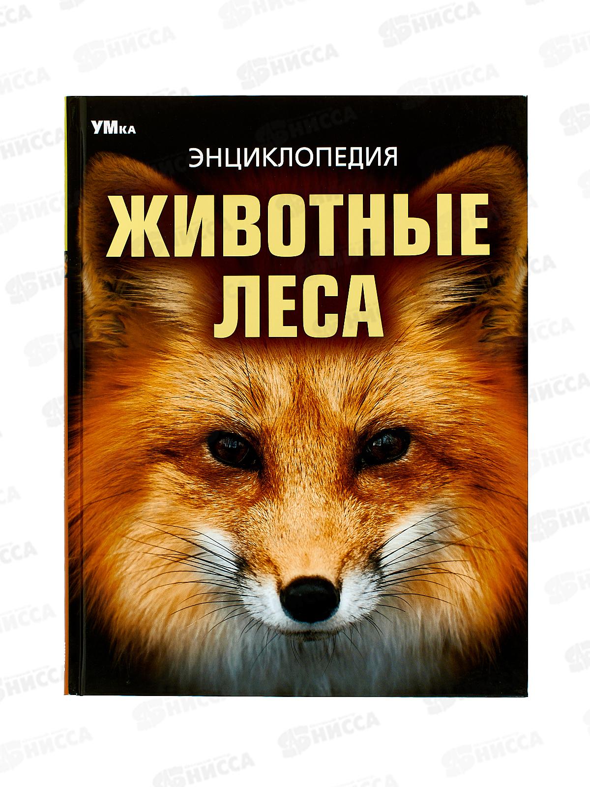 Энциклопедия 09108-0 Умка: Животные леса, 197х255мм, 48стр. *15