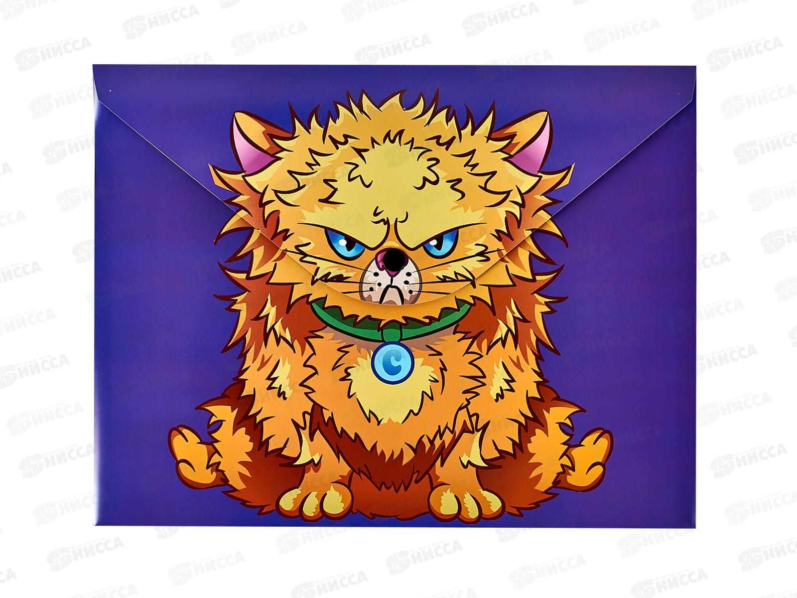 Папка с кноп. Centrum А4 Сердитый кот,75700 *10