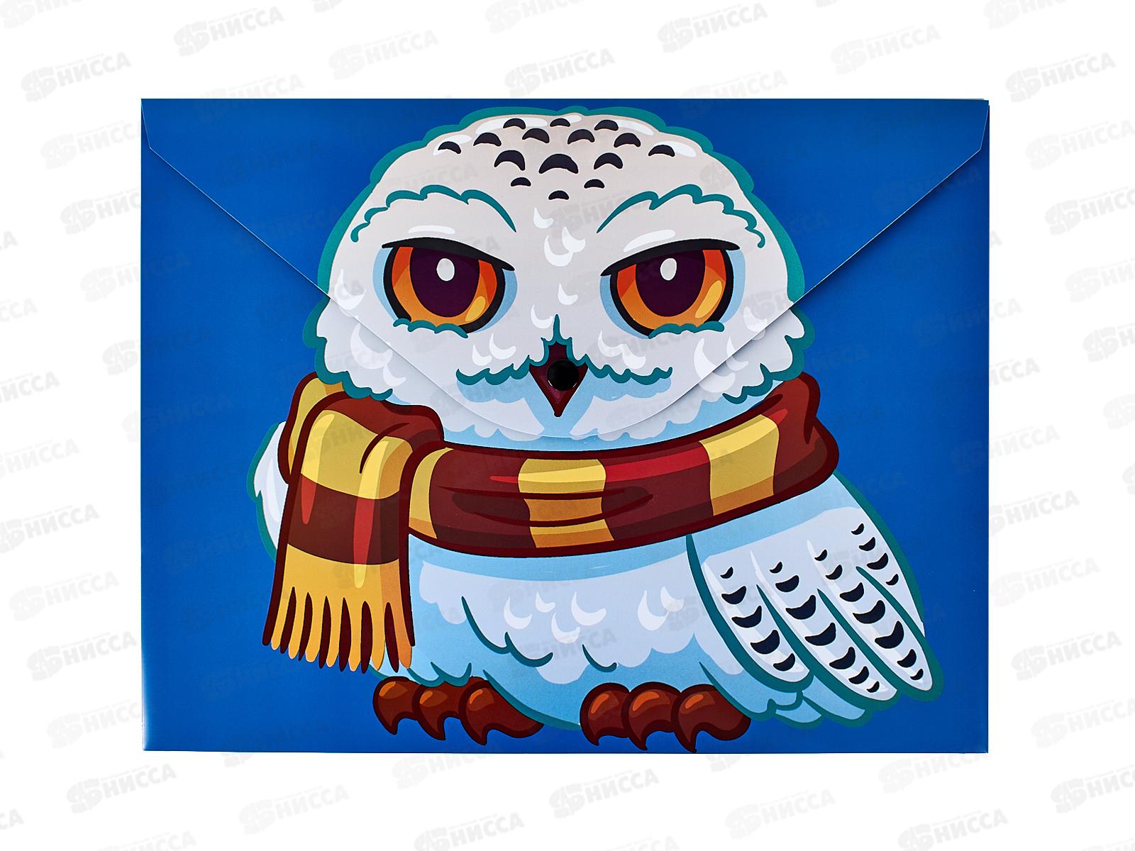 Папка с кноп. Centrum А4 Сова,75708 *10