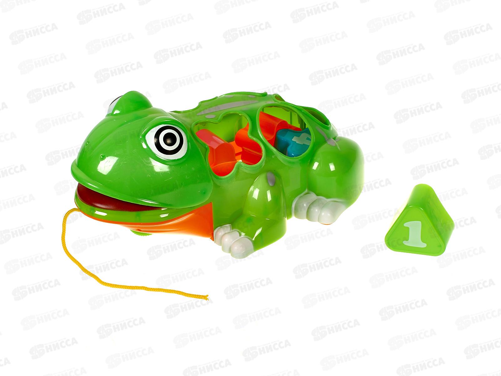 Каталка-сортер №2311, сетка 24*16*10