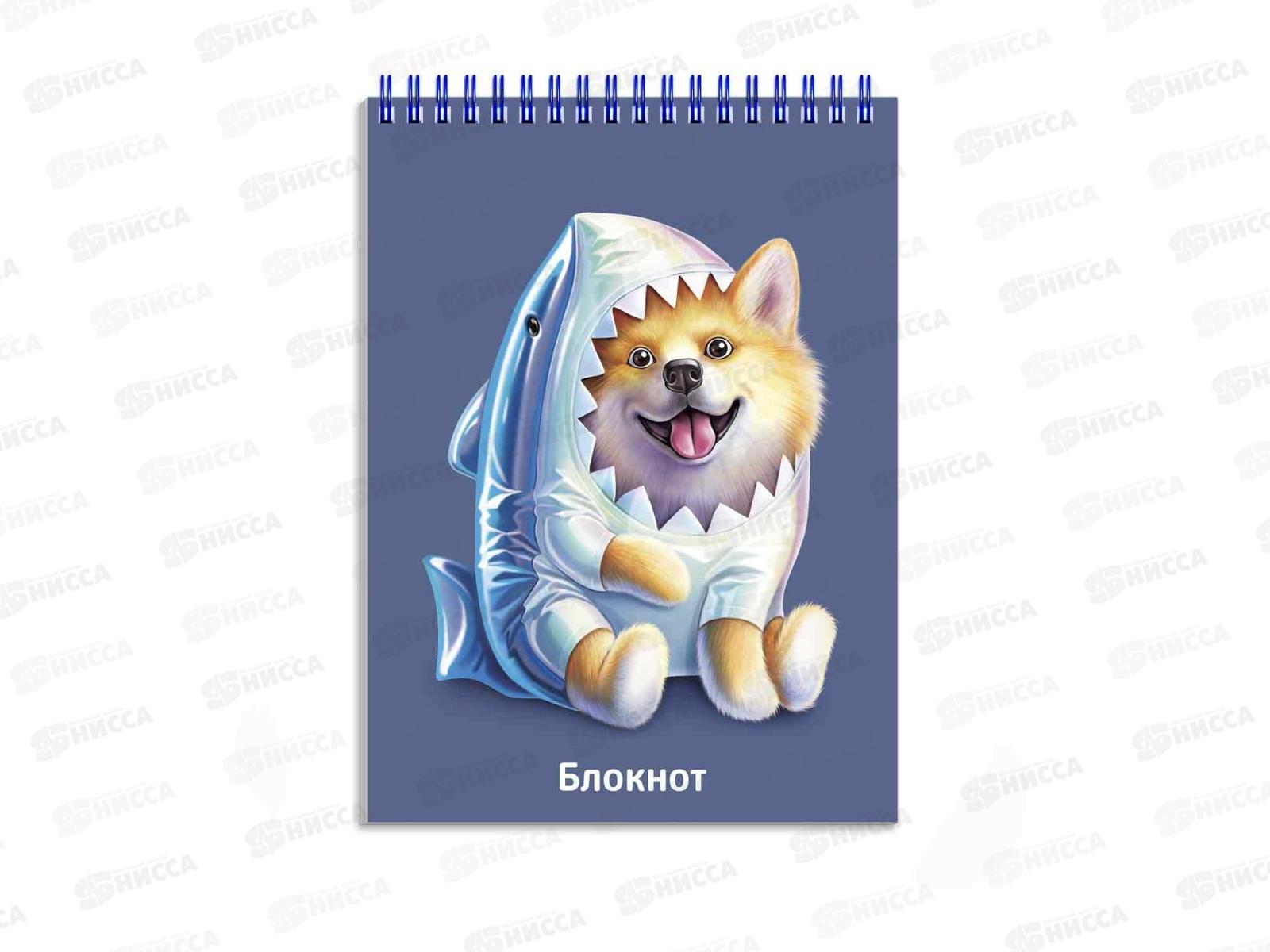 Блокнот 80л ФЕН А6 Шибаину в костюме акулы,оф.,греб.,69238