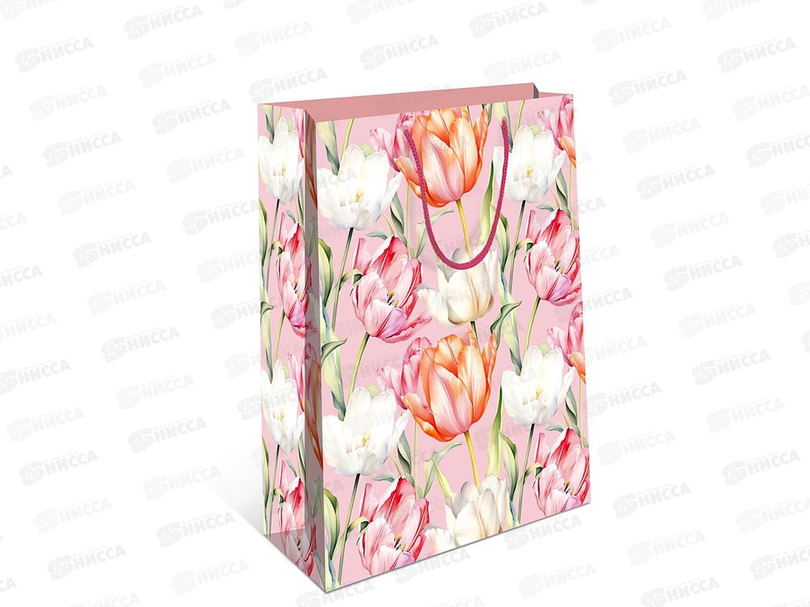 Пакет подарочный АД 11,5*14,5 0191.347